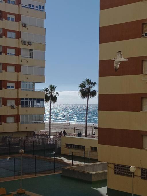 Alegrias De Cadiz By Gades Gestion 아파트 외부 사진
